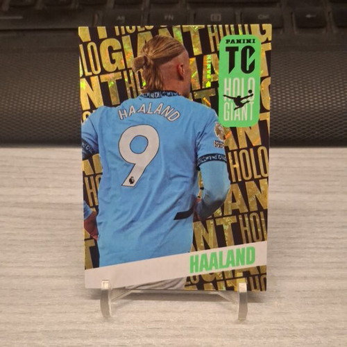 Panini Top Class 2025 Erling Haaland Holo Giant card new