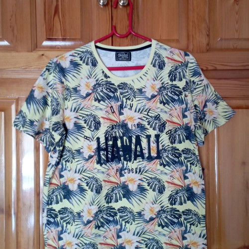 Men's short-sleeve t-shirts large used, paco and co