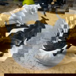  Πρωτοτυπο Διακοσμητικο Yin Yang με Πανθηρες 3D Εκτυπωση