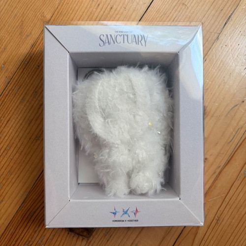 TXT Sanctuary Kpop keychain