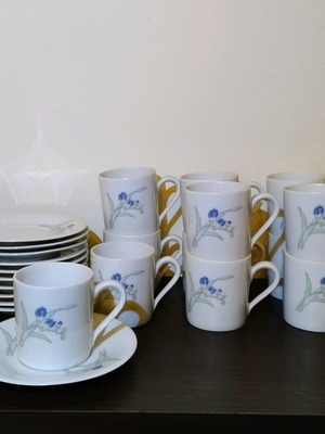 Scherzer Bavaria Germany tea set for 11 people, like new
