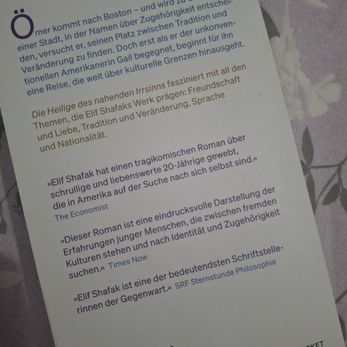 Elif Shafak Die Heilige des nahenden Irrsinns German novel