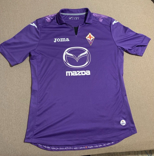  emfanisi Fiorentina se aristi katastasi 2013/14