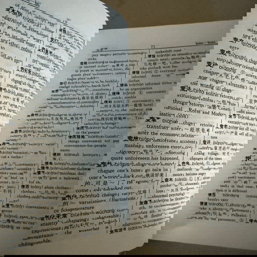 Chinese English Dictionary