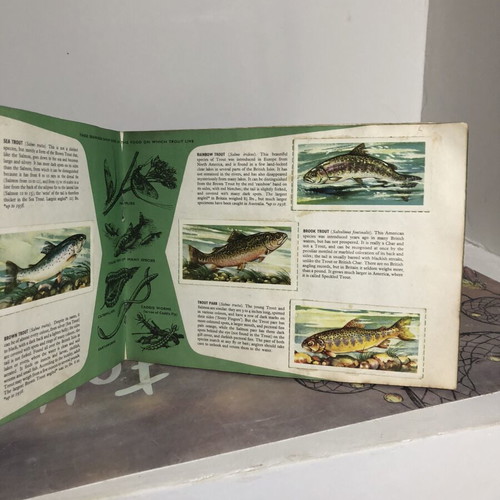 Vintage Brooke Bond Tea cards Freshwater Fish complete set used