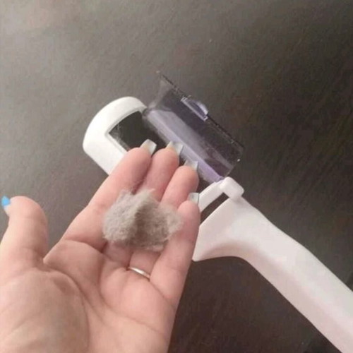 Pet Hair Removal Brush new, with reusable container