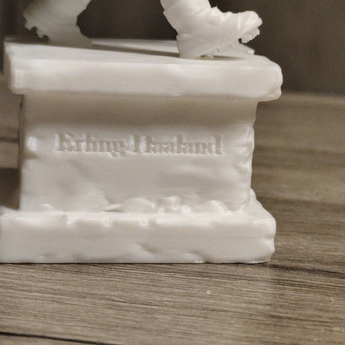 Manchester City Erling Haaland 3D Printed Figure new
