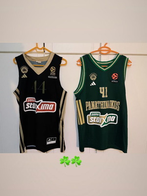 Hernangomez Basketball Jersey like new, size M