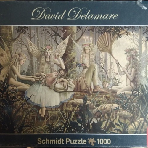 Puzzle David Delamare Dream Sequence Schmidt 1000 new