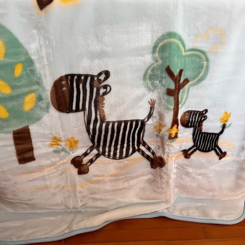 Velveteen baby blanket new in box