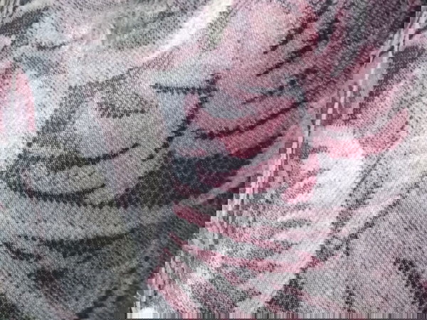 Плат за дамаска
