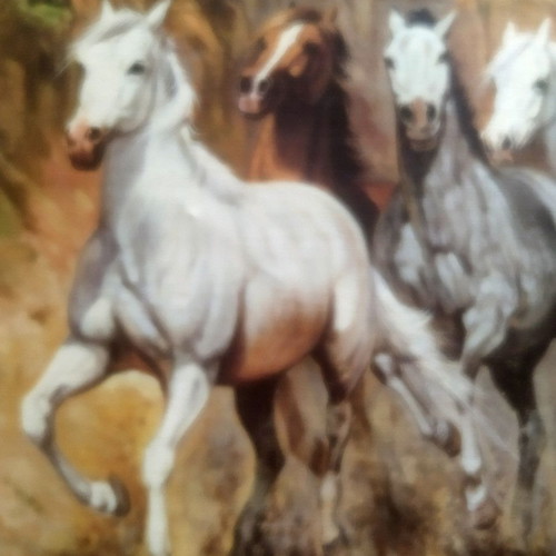 Canvas painting Herd of Horses in Freedom by S. Santos used