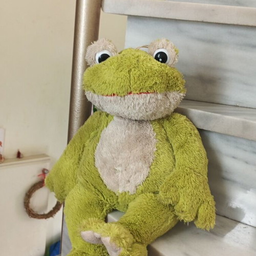 Plush frog like new