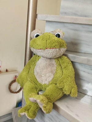 Plush frog like new