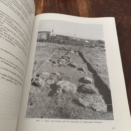 Monument conservation excavation techniques used