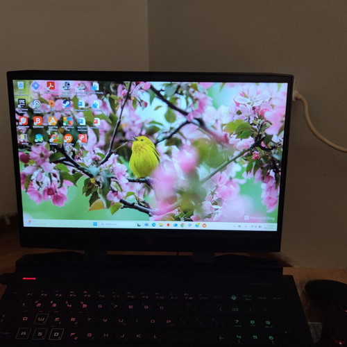 HP Omen 15 used laptop, Intel Core i5, 16GB RAM, 500GB SSD, RTX 2060, RGB keyboard