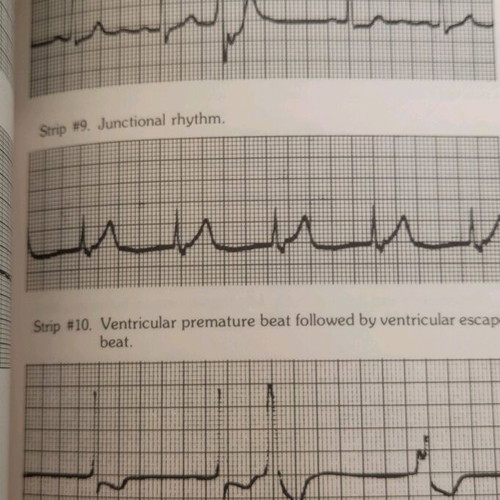 Medical books in English new