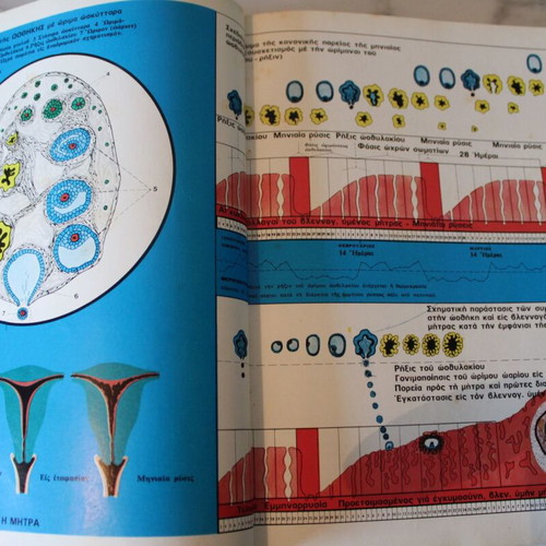 Dictionary of Human Anatomy 1963, new, Greek language