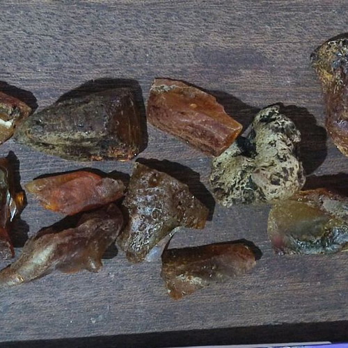Low pressure amber unprocessed, 16 pieces, 40 grams