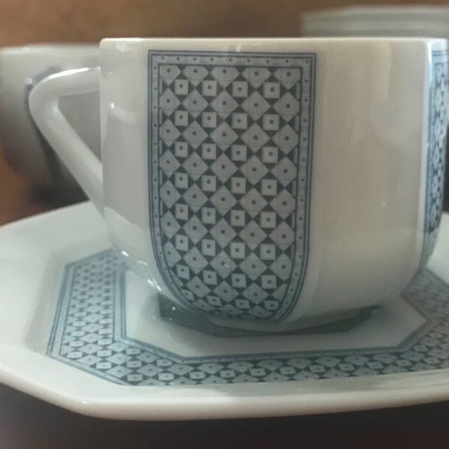 Bernardaud Limoges France Galapagos set like new with porcelain plates and cups