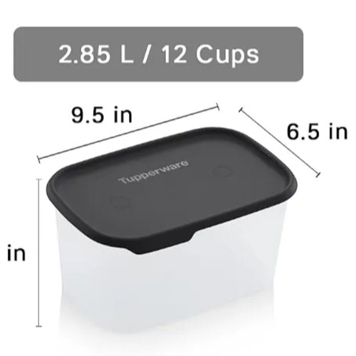 Tupperware Modular Fresh 2.85L with Black Lid new
