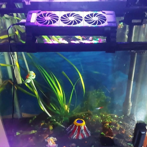 Aquarium 75 liters like new with live plants and accessories