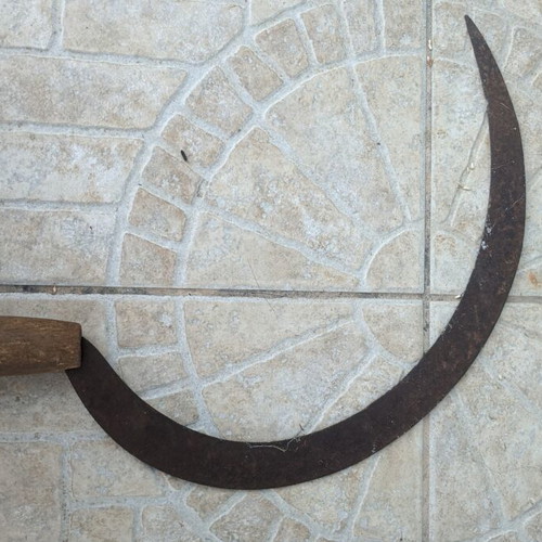 Vintage traditional sickle with wooden handle