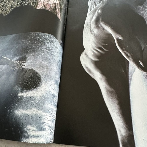 Dimitris Papaioannou INK performance program