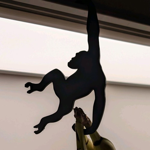 Monkey Banana Hanger new, smart kitchen organization
