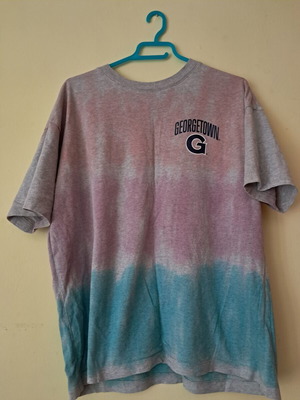 Champion T-shirt used, cotton, gray and turquoise, size L