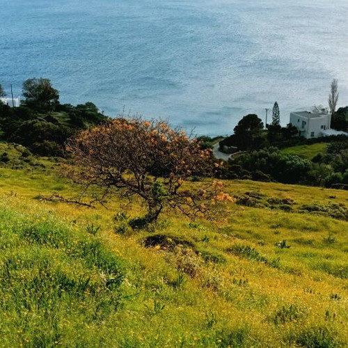 Andros Land Plots 4 Stremmata with Spring and View, Buildable