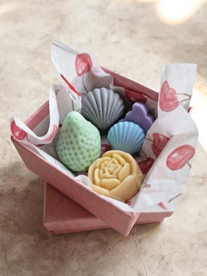 Χειροποίητα Wax Melts Σόγιας 50 γραμμαρίων σε κουτί δώρου