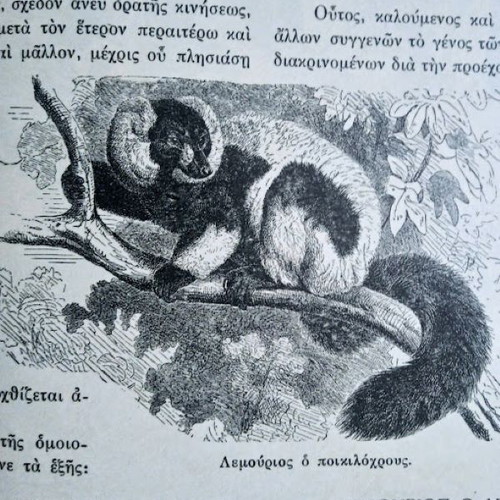 The Life of Animals like new, 1932 edition, leather-bound
