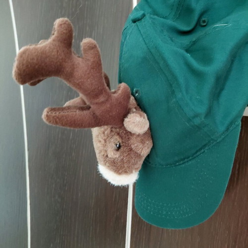 Christmas hat with reindeer