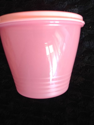 Tupperware container like new