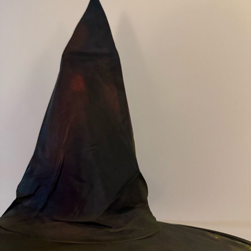 Witch carnival hat like new