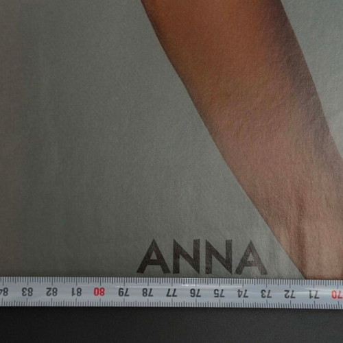 Anna Vissi and Kaith Garbi Fever 2000 double-sided giant poster new