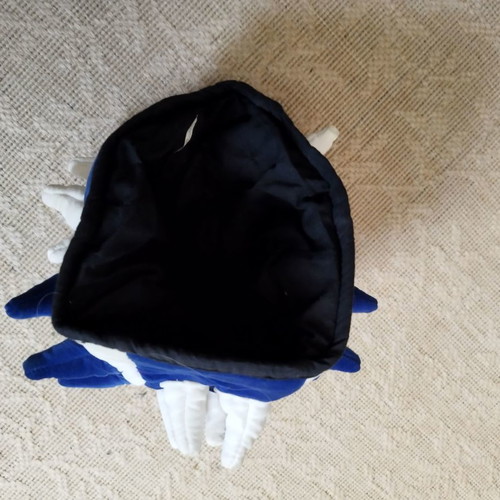 Carnival hat used white and blue