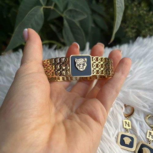 Princess stainless steel bracelet and earrings set like new, black and gold