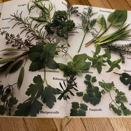 Salate cook book used, German language
