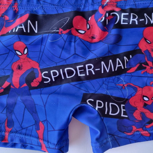Spider-Man boys' swim shorts, blue with web design
