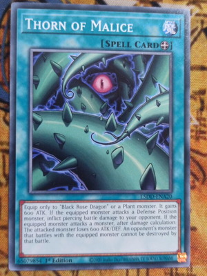 overlay network yugioh card Regen - Yu-Gi-Oh! Database YuGiOh - Overlay Network MAZE-EN020