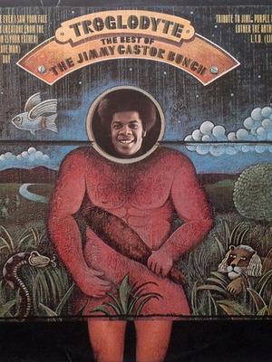 Troglodyte The Best Of The Jimmy Castor Bunch vinyl used, R&B Soul