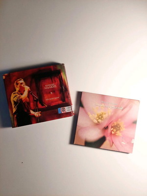 Manolis Lidakis 2 used cassette albums, entechna and laika songs