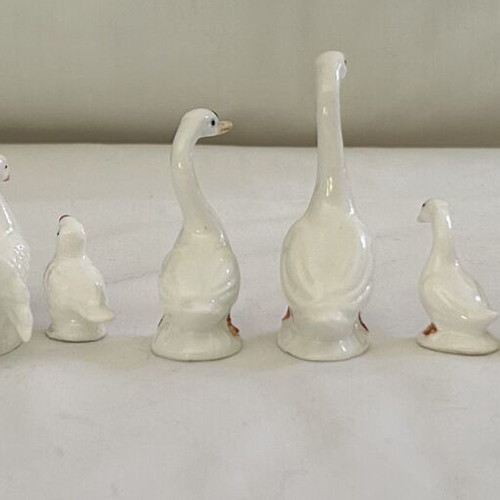 Porcelain bird figurines collection, vintage style