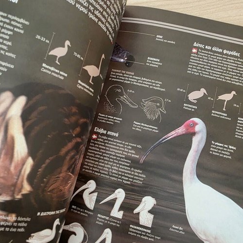 Atlas of Sciences Birds illustrated guide like new