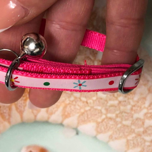 Cat collar new, suitable for all breeds and sizes
