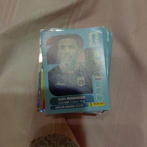 Panini World Cup stickers pack