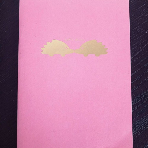 Lets Kiss A5 pink notebook with golden hedgehogs