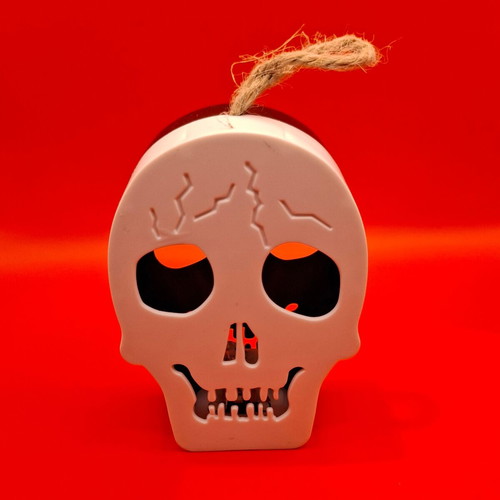Decorative Skull Light Like New